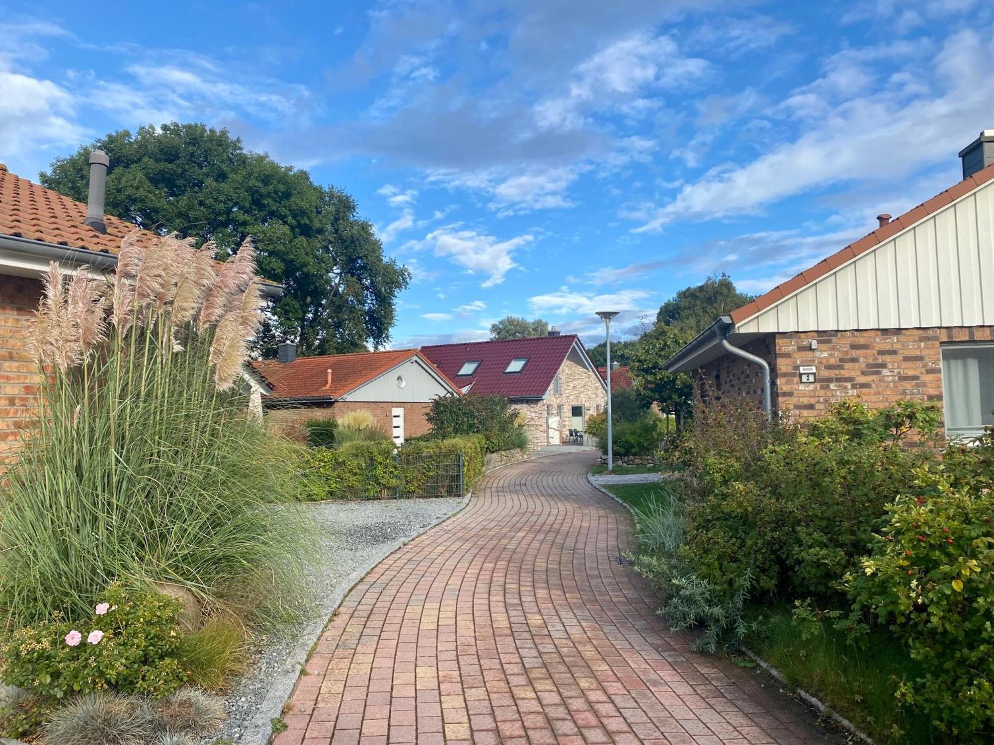 Feriendorf Suedstrand Haus 09 بيلزيرهاكين المظهر الخارجي الصورة
