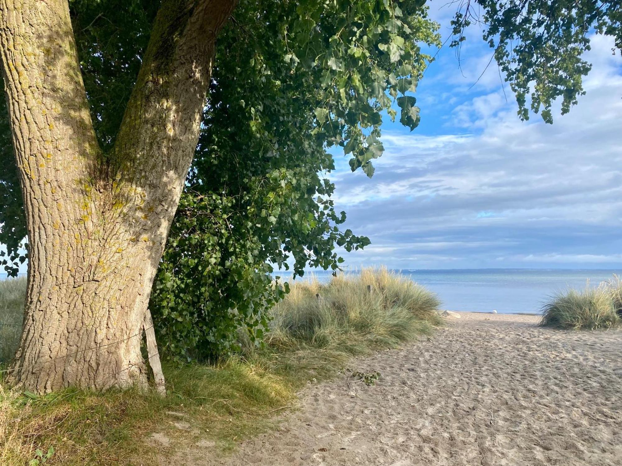 Feriendorf Suedstrand Haus 09 بيلزيرهاكين المظهر الخارجي الصورة